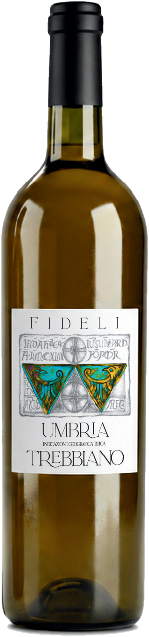Umbria IGT Trebbiano Divino